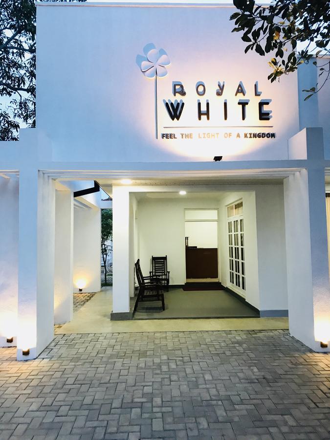 Hotel Royal White Tourist Rest Anuradhapura Esterno foto